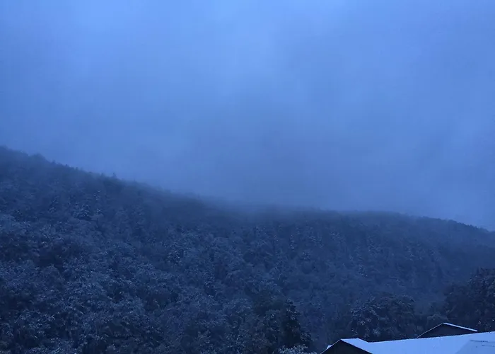 Orman Evi Pryvatna Svitanok *